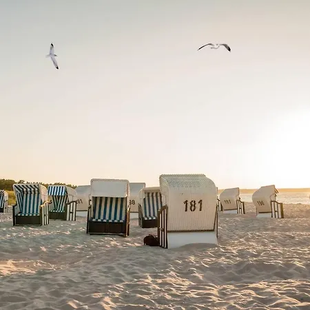 White Pearl 0.15 Διαμέρισμα *